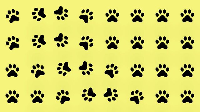 Colorful pattern of cat paws on yellow background. Seamless pattern with cat paw. Top view. Dog, cat footprint background. 4K video motion