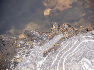Close-up of ice on a cold December day starting to form on the surface of the water in a creek. 
