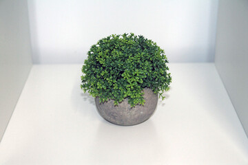 A green isolated artificial bush with a grey vase