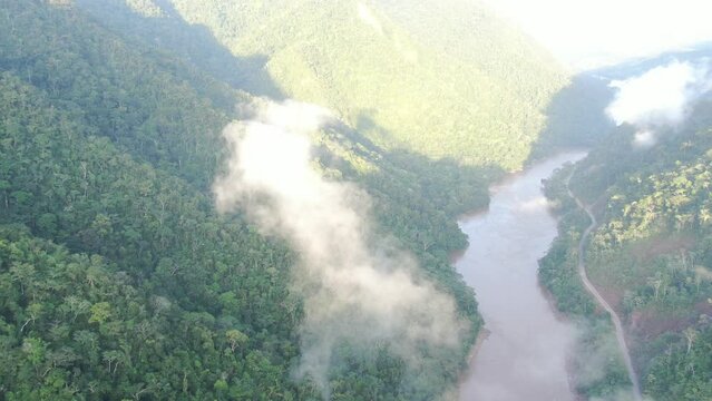 aerial view river through the amazon rainforest