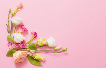 Naklejka na ściany i meble spring beautiful flowers on pink background
