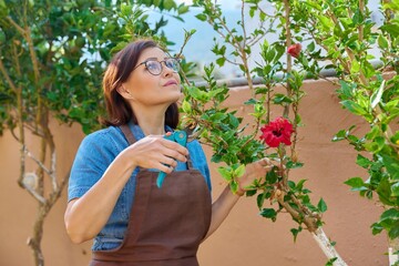 Woman in an apron with pruner, flowering hibiscus bush in garden © Valerii Honcharuk