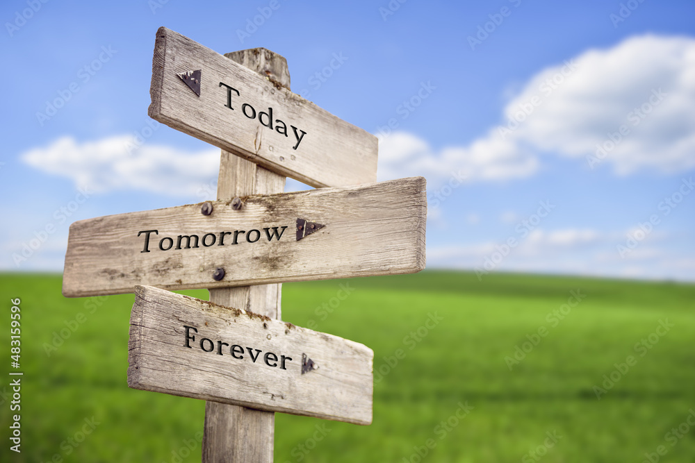 Wall mural today tomorrow forever text quote on wooden signpost outdoors on green field.