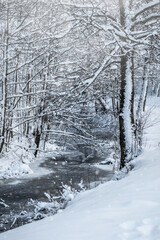 Snow covered trees in the winter forest with snowfall