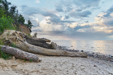 The most famous cliff on the Polish coast in Gdynia-Orlowo during the sunset  