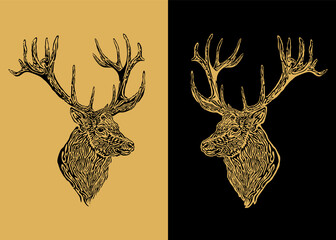 illustration deer