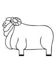 Merino coloring page. Animal outline illustration.