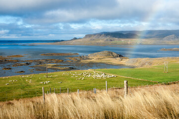 
view of the Icelandic coast with a rainbow