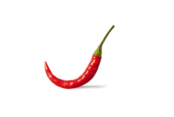 One chilli pepper on white isolated background.Spicy food background for design.