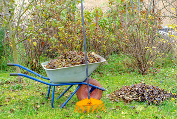 wheelbarrow garden foliage