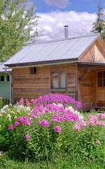 phlox wooden house