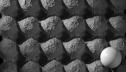 chicken egg contrast packaging