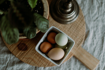 still life with eggs