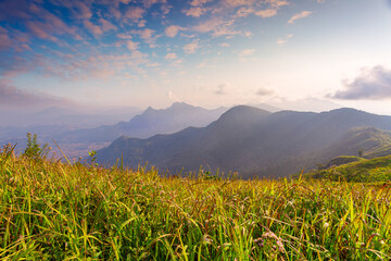 Fototapeta na wymiar Mountain valley during sunrise. Natural summer landscape 