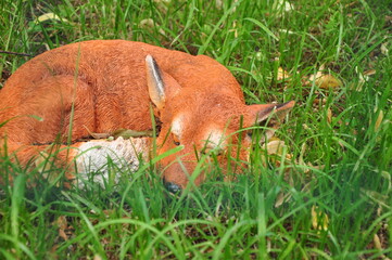 Peredelkino is a dacha settlement that does not have the status of a settlement, which is part of the village of DSK 