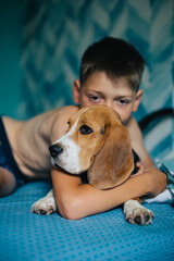 Teenage boy and dog lie on the bed and hug. Cute beagle puppy. Cozy scene, hygge concept. Lazy weekend concept