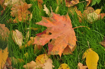 Peredelkino is a dacha settlement that does not have the status of a settlement, which is part of the village of DSK 