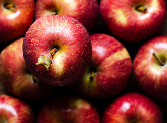 Red apples with water drops. 