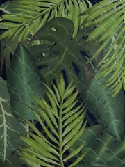 Tropical palm leaves, floral pattern background,