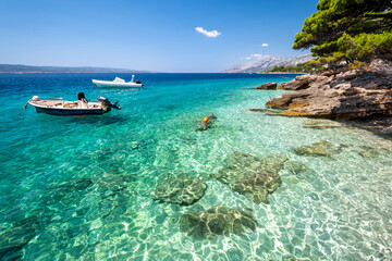 crystal clear water in adriatic sea in Brela on Makarska riviera in Dalmatia region in Croatia - obrazy, fototapety, plakaty