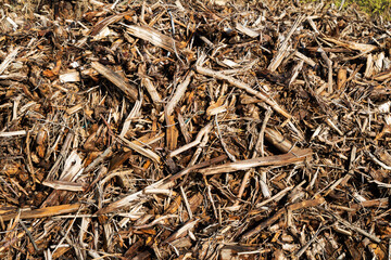 Wood abstract texture. Surface grunge backdrop. Dirty wooden effect pattern. Material background.