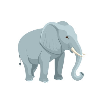 Adult burly elephant drawing. Vector