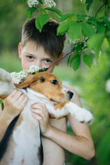 Caucasian Cute Boy and dog (beagle puppy) looking at camera with Blossoming branch in springtime with falling petals