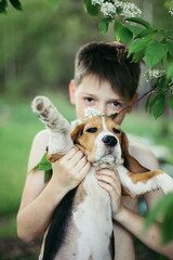 Caucasian Cute Boy and dog (beagle puppy) looking at camera with Blossoming branch in springtime with falling petals
