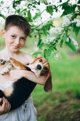 Caucasian Cute Boy and dog (beagle puppy) looking at camera with Blossoming branch in springtime with falling petals