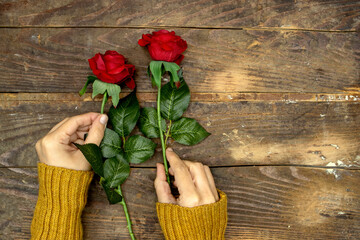 Fototapeta na wymiar woman wearing winter sweater and holding red roses flowers for valentine's or women's, mother's day