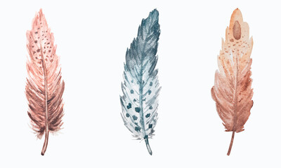  Watercolor hand drawn isolated set of feathers. Boho style. Design for logo, print, stationery, fabrics, postcards, posters, labels, stationery and others.