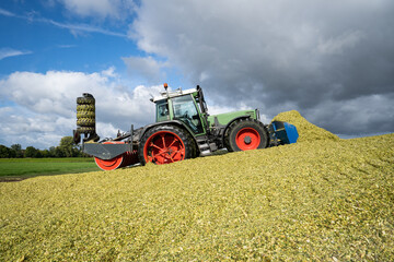 Obraz premium Maissilage wird gewalzt, geschoben und verdichtet.
