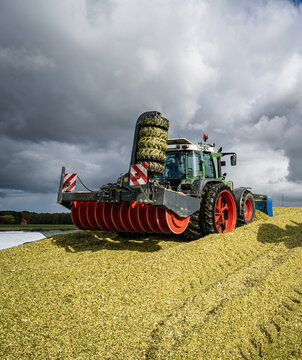 Moderne Landtechnik verschiebt und verdichtet die Maissilage zu einen großen Haufen.