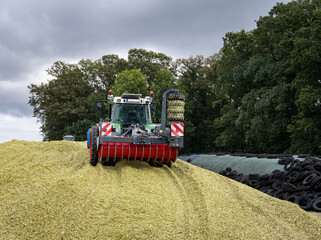 Obraz premium Maissilage wird geschoben und verdichtet mit moderner Landtechnik.