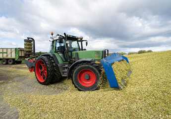 Obraz premium Moderne Landtechnik verschiebt und verdichtet die Maissilage zu einen großen Haufen.