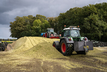  Traktor walzt und schiebt die Maissilage zu einen großen Haufen.