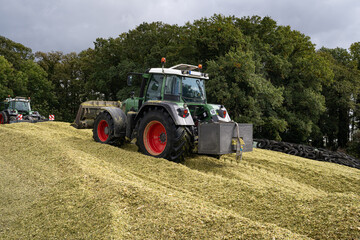Obraz premium Traktor walzt und schiebt die Maissilage zu einen großen Haufen.