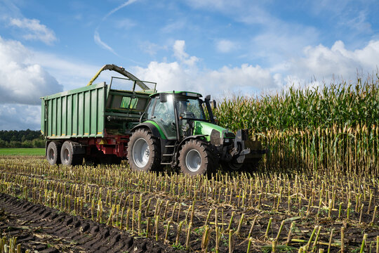Maisernte -  Traktor mit Erntewagen fährt neben dem Häcksler her, um das Erntegut zu laden.