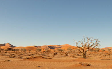 Hidden Vlei, Sossusvlei, Namibia
