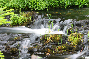 Fototapeta na wymiar Close-up of a small waterfall on a river