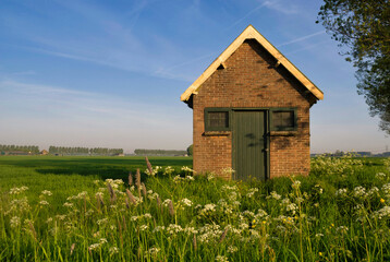 Shed in a wild flower covered landscape near Dordrecht