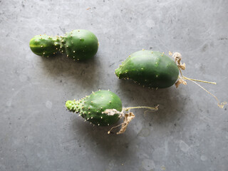 three little cucumbers on a zink table