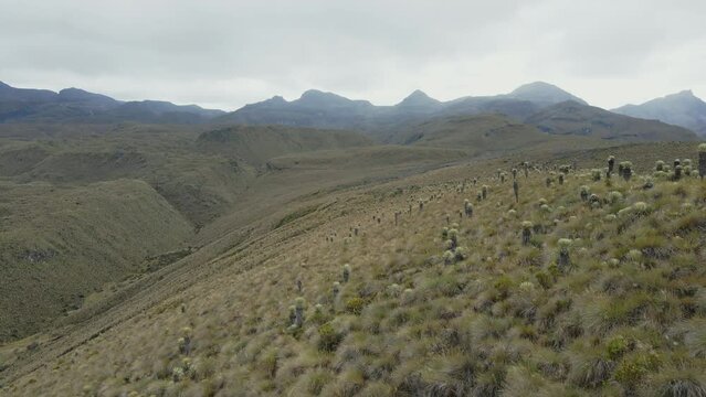 Sobrevuelo sobre paramo a ras de suelo.