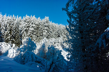 Winter view of Vitosha Mountain, Bulgaria