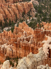 Large green trees fill in all the voids between the orange Hoodoos of granite in Bryce Canyon National Park