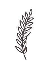 branch icon illustration