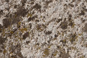 Detalle textura piedra