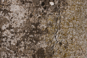 Detalle textura piedra