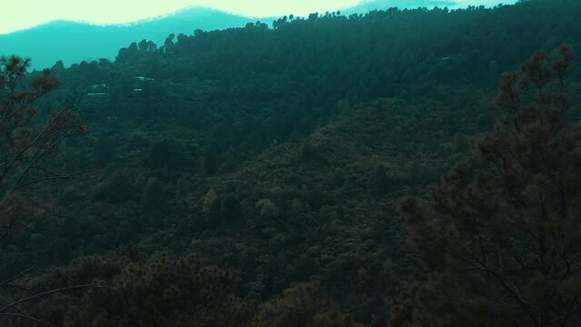 Aerial shot of the road in the mountains surrounded by trees in Murree, Pakistan