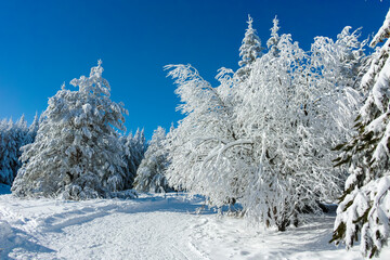 Winter view of Vitosha Mountain, Bulgaria